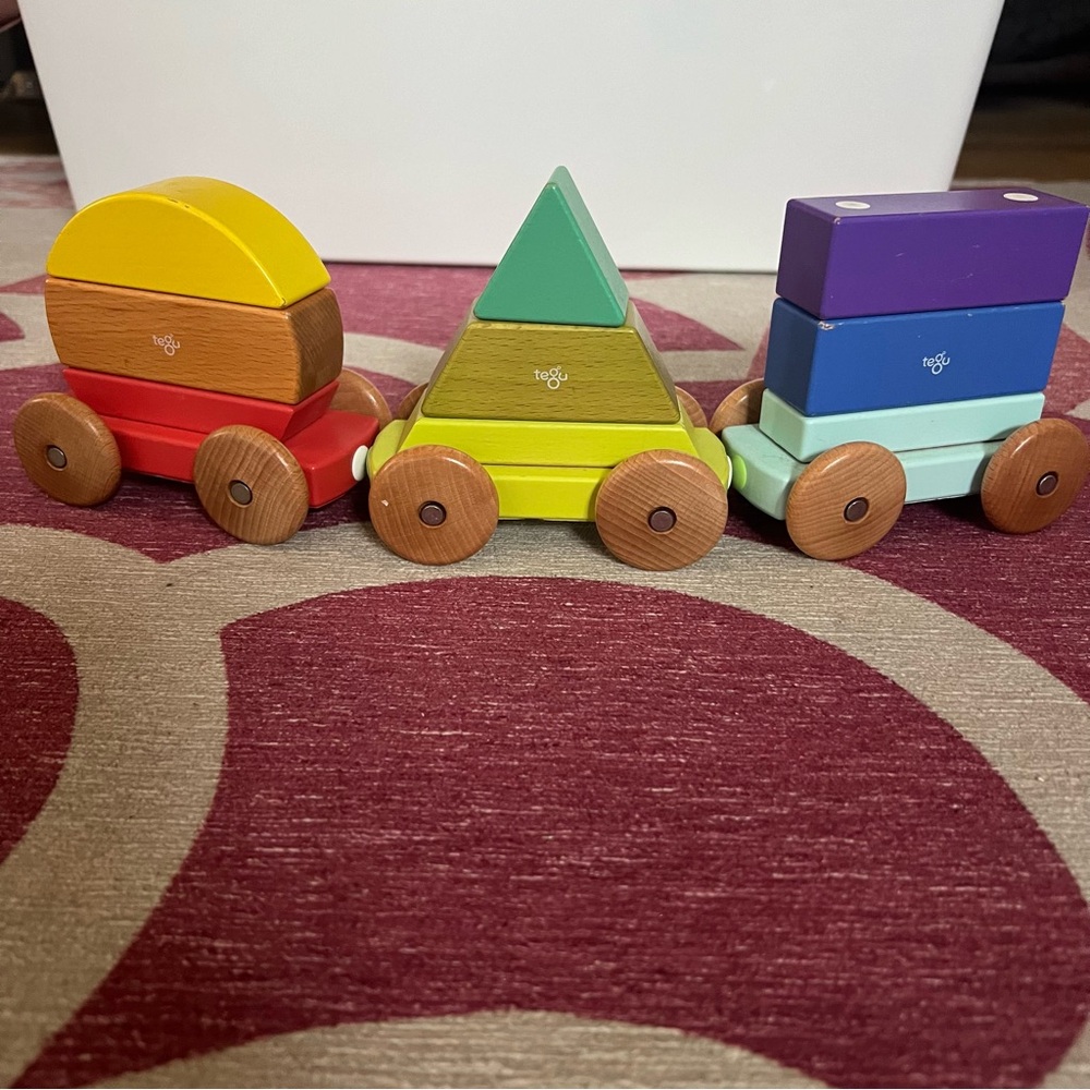 Tegu Magnetic Wooden block rainbow tram